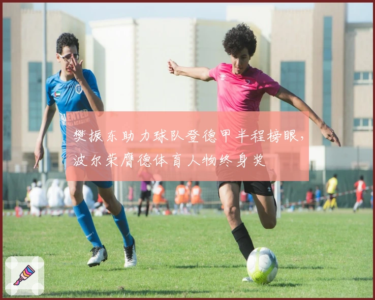 樊振东助力球队登德甲半程榜眼，波尔荣膺德体育人物终身奖