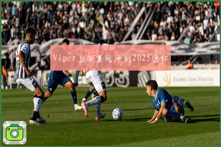 Viper上海集结冲刺2025德杯